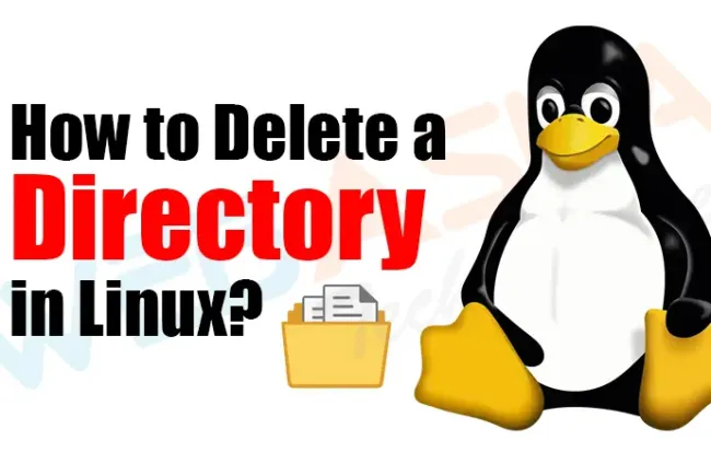 How to Delete a Directory in Linux?
