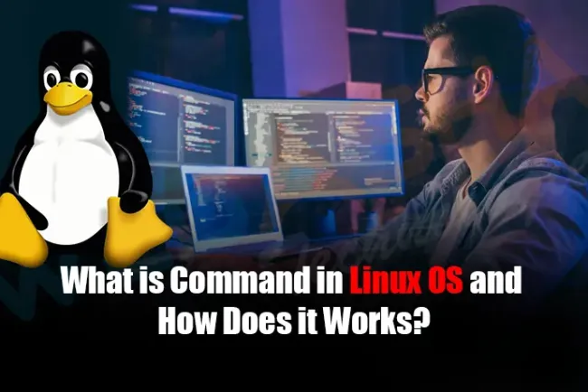 What is Command in Linux OS and How Does it Works?