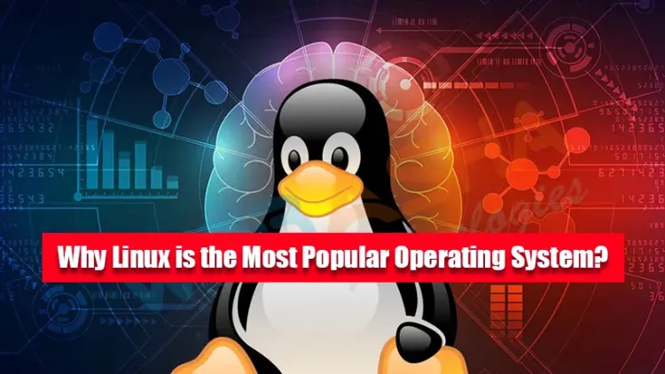 Why Linux is the Most Popular Operating System?