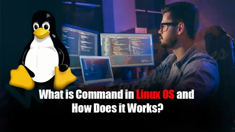 What is Command in Linux OS and How Does it Works?