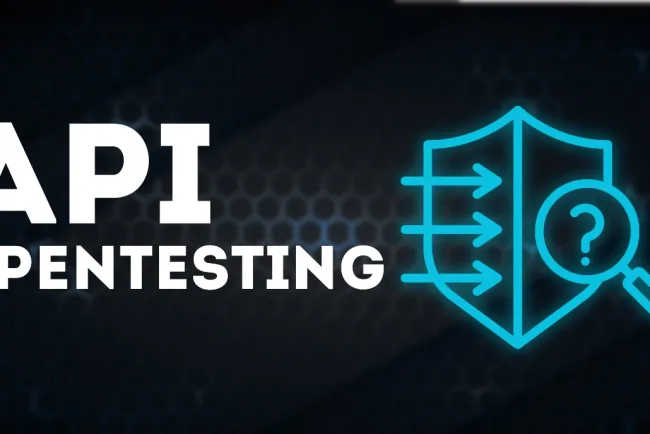 API Penetration Testing: Securing Your APIs with Postman