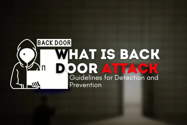 What is Backdoor Attack? Guidelines for Detection and Prevention