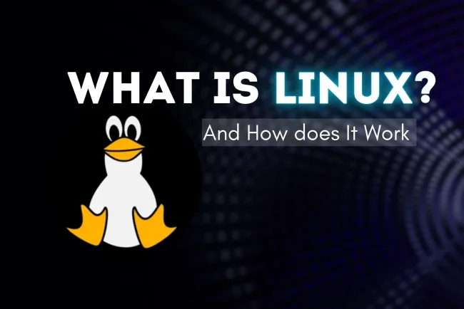 How Linux Works ?  A Comprehensive Guide to the Linux Operating System
