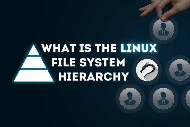 What is the Linux File System Hierarchy and Why It Matters? A Complete Guide