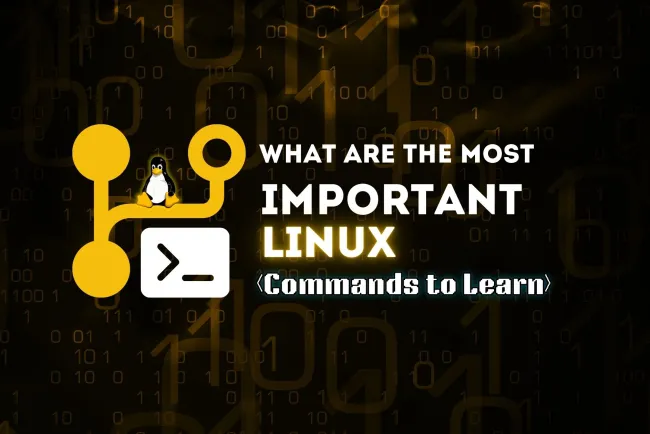 Which are the Most Important Linux Commands ?  A Complete Guide