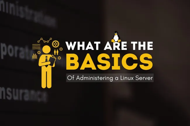How to Administer a Linux Server Like a Pro?A Beginner's Guide