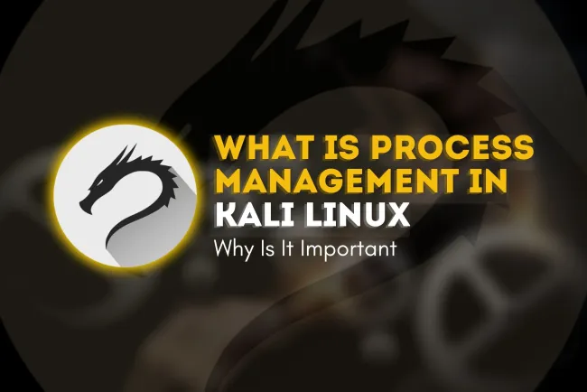 What Is Process Management in Kali Linux and Why Is It Important?