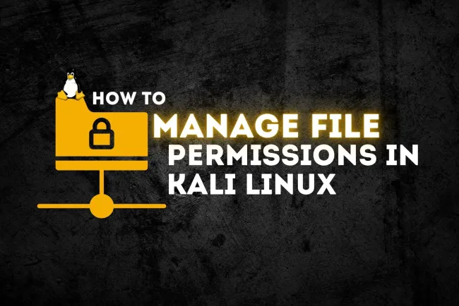 How to Manage File Permissions in Kali Linux? The Complete Guide