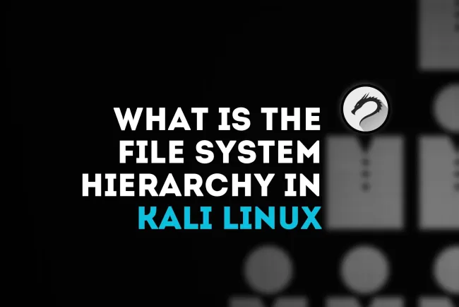 What Is the File System Hierarchy in Kali Linux?