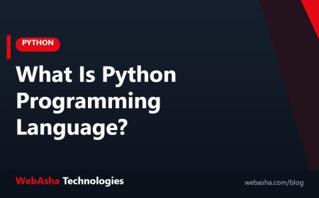 What Is Python Programming Language?