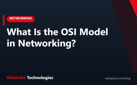What Is the OSI Model in Networking?