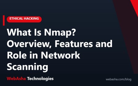 What Is Nmap? Overview, Features and Role in Network Scanning
