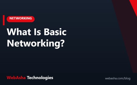 What Is Basic Networking?