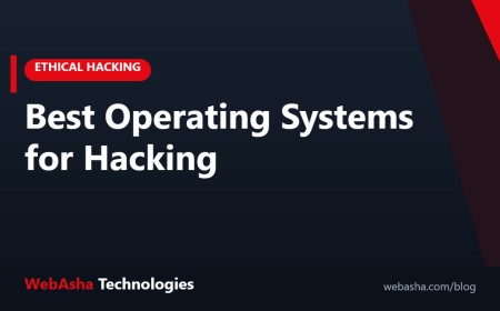 Best Operating Systems for Hacking