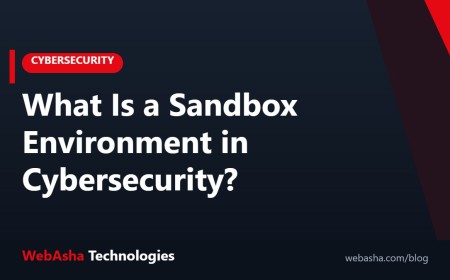 What Is a Sandbox Environment in Cybersecurity?