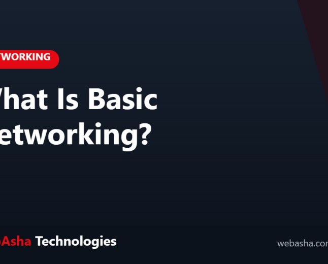 What Is Basic Networking?