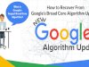 What is Google’s Broad Core Algorithm? How to Recover From Google’s Broad Core Algorithm Updates.