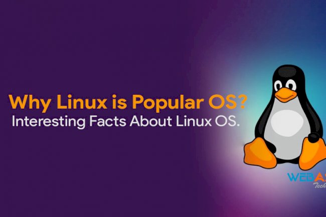 How to start a career with Linux? Be prepared! - WebAsha Technologies