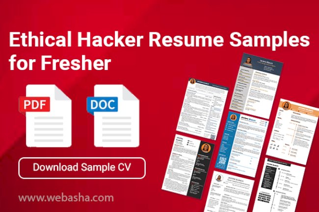 Ethical Hacker Resume Samples for Fresher | Download Sample CV in Docs and pdf File
