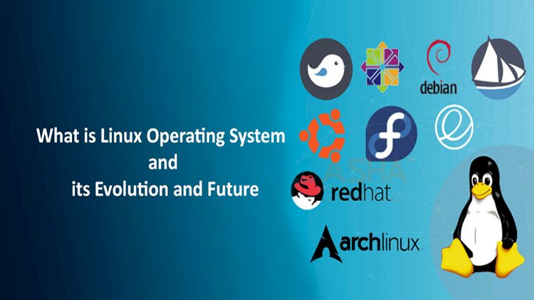 What is Linux Operating System and its Evolution and Future