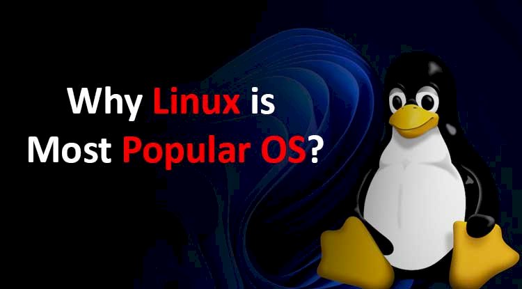 What is Linux and why it is most Popular OS?