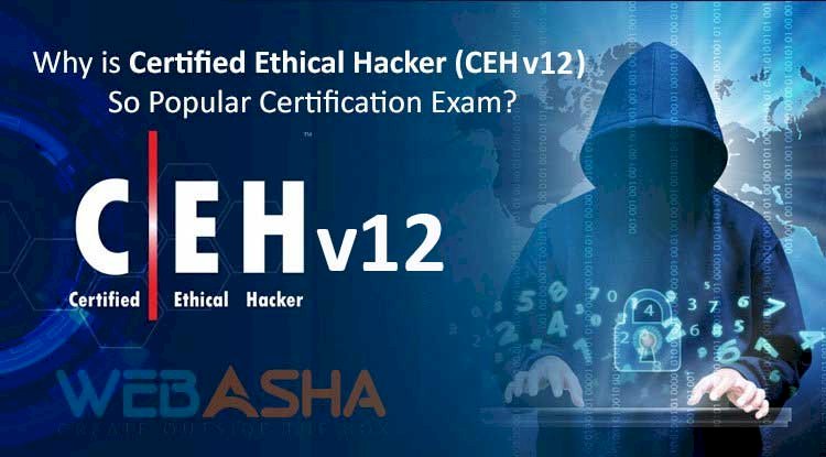 Why is Certified Ethical Hacker (CEH v12) So Popular Certification Exam in the Field of Cyber Security? 