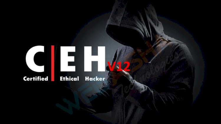What Is the Certified Ethical Hacking - CEH v12 ? 