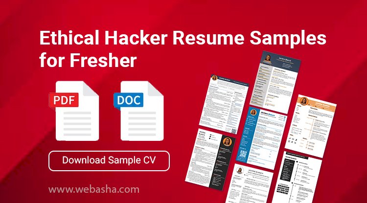 Ethical Hacker Resume Samples for Fresher | Download Sample CV in Docs and pdf File