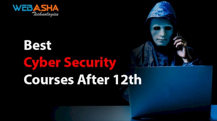 Best Cyber Security Courses After 12th | Eligibility, Fees, and Syllabus for 2024