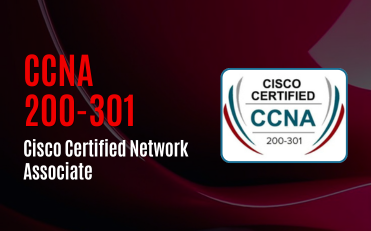 CCNA 200-301 - Cisco Certified Network Associate