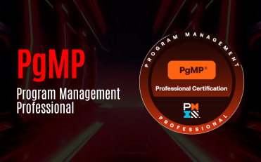 PgMP - Program Management Professional