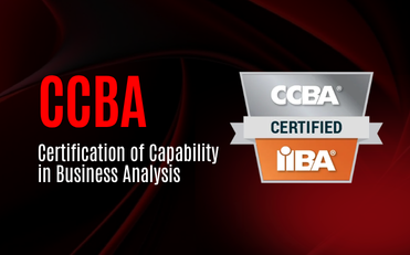 Certification of Capability in Business Analysis (CCBA)