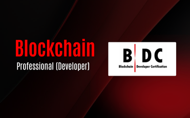 Certified Blockchain Professional (Developer)