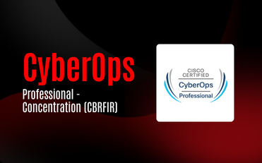 CyberOps Professional - Concentration (CBRFIR)