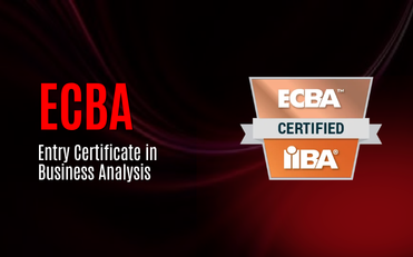 Entry Certificate in Business Analysis (ECBA)