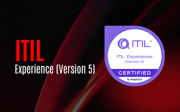 ITIL Experience (Version 5)