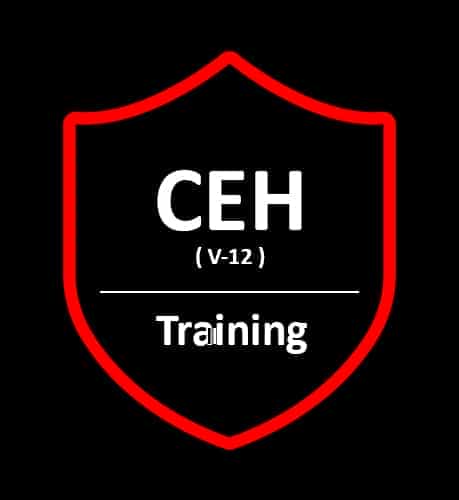 Certified Ethical Hacking - CEH v12